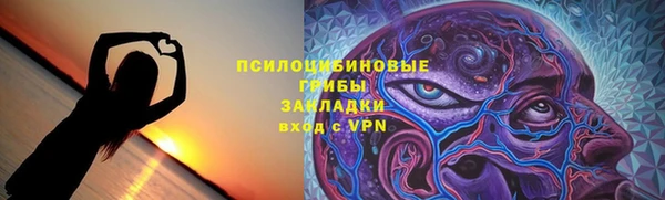 Альфа ПВП Магас