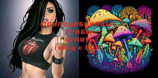 шишки Аксай