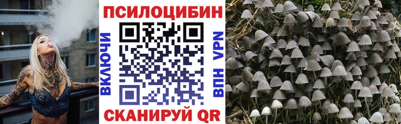 Галлюциногенные грибы ЛСД  купить наркотики сайты  это как зайти  Таруса 